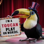 Funny Toucan Puns