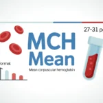 MCH Mean in a Blood Test