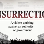 What Does Insurrection Mean