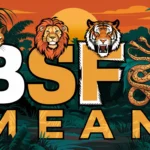 BSF Mean in Text