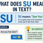 What Does SU Mean in Text
